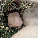 집사의 하루 일산점 이미지