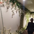 라비에벨 이미지