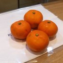 대한폴댄스연맹학원 이미지