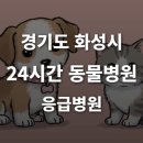 24시 동탄윌 동물의료센터 | [경기도 화성시 24시간 동물병원(산척동, 봉담읍, 반송동)] 365일 연중무휴 반려동물 응급상황 대처...