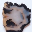 오닉스(ONYX) 이미지