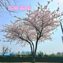 서호호근로 이미지