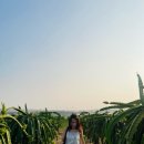 아까금농장 이미지