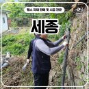 H1500 | 세종휀스 펜스 - 단단하게, 안전하게! 세종 사유지 펜스 설치 전 과정 공개