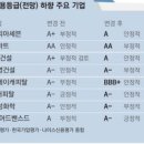 (주)오케이유통 이미지