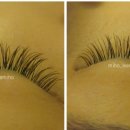 이미호아이래쉬 이미지