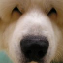 JJ당구장 이미지