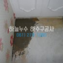 수한미장 이미지