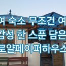 로얄페이퍼하우스 이미지