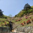 산사람농원(1) | 광덕산 산사람농원쉼터 - 천안에서 워크샵