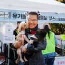 행복하개 이미지