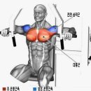 프레스밀 이미지