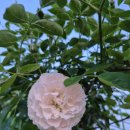 하대동389 이미지