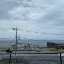 이디오라게 이미지