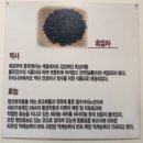 백년삼계탕 | 온천동맛집 '백년백세토종삼계탕'-고소한 흑임자삼계탕 후기