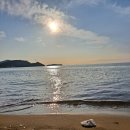 늑대와 여우 컴퓨터 이미지