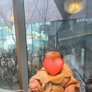 빌리지나인 | 8개월 아기랑 스타필드 빌리지 운정점 게이트나인무드 후기(+웨이팅)