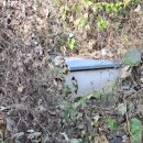 민원농장 이미지