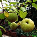 열린자리 이미지