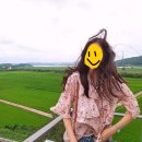펄럭펄럭