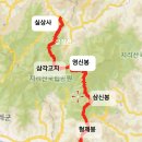 해탈교 Daum카페