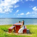 선상슈퍼 | 괌 돌핀투어 예약 가격 팁 마이리얼트립 할인쿠폰 슈퍼세일