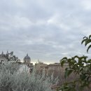 로마문구 | 로마 콜로세움 가이드 투어 후기｜포로로마노·팔라티노 언덕 코스 (테르미니역 도보)🇮🇹