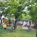 개나리공원 이미지