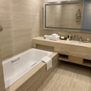 제주신화월드호텔 이미지