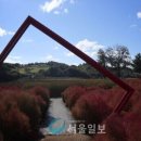 삼곶리 이미지
