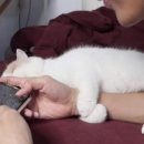 (주)고양이스튜디오 이미지