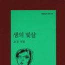 조은 숨