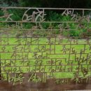 불갑사 산림박물관 이미지