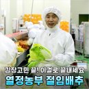 농부맘마트 | 김장 실패는 이제 그만! 열정농부 절임배추 써보니 왜 이제 알았나 싶어요