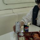 타러가요트 이미지