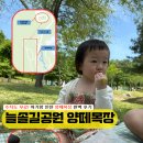 웅부공원공중화장실 | 늘솔길공원 양떼목장 후기 – 30개월 아기와 주말 오전 체험, 주차·그늘막까지 정리