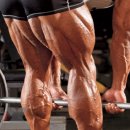 잘빠GYM 이미지