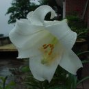 어전농장 이미지