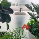 서귀포교회 이미지