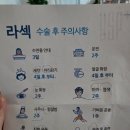 바른정한약국 | 라섹 검사~수술 8일차 후기