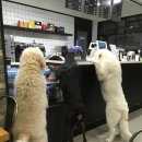 구름뜬하늘 이미지