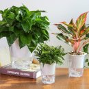 제이라이프 이미지