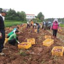 염치읍주민센터 이미지