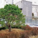 (주)에코로하스
