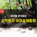 삼척동자 유아숲체험원 이미지