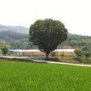 만년한우농장 이미지