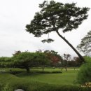 서일농장1 이미지