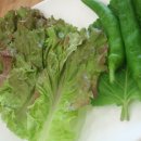 풍기인삼갈비 이미지