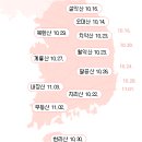 한강변 명품숲 둘레길(공사중구간포함) | 10월 여행. 가볼만한 곳. 꽃무릇. 핑크뮬리. 가을단풍명소. 전국 축제일정