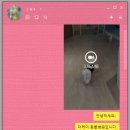 더케이 동물병원 이미지